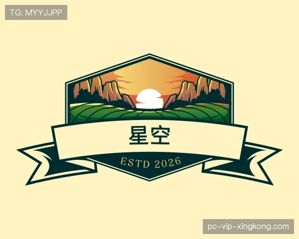 介绍星空世界杯